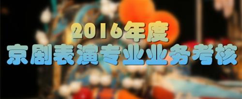 性毛片污国家京剧院2016年度京剧表演专业业务考...